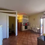 Rent 2 bedroom apartment of 40 m² in Nettuno