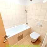 Rent 3 bedroom apartment in Praha 9