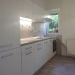 Rent 2 bedroom apartment of 68 m² in Děčín