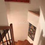 Rent 3 bedroom apartment of 70 m² in Bologna