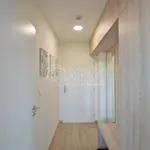 Rent 1 bedroom apartment of 32 m² in Praha