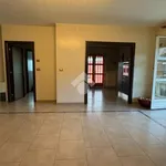 Rent 6 bedroom apartment of 100 m² in Verzuolo