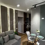 Rent 1 bedroom apartment of 50 m² in Padova