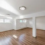 Rent 5 bedroom apartment in Horoměřice