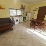 Rent 3 bedroom apartment of 60 m² in Roma