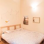 Rent a room of 150 m² in Roma