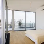 Rent 2 bedroom apartment of 100 m² in Vienna