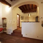 Rent 1 bedroom apartment of 40 m² in Firenze