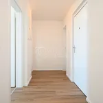 Rent 4 bedroom apartment of 75 m² in Capital City of Prague