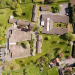 Huur 1 slaapkamer huis in Dottignies