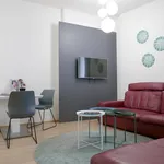 Rent 1 bedroom apartment of 56 m² in Brno