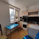 Rent 1 bedroom apartment of 30 m² in Návsí