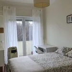 Rent a room in lisbon