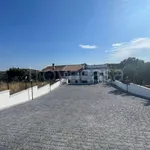 Rent 3 bedroom apartment of 100 m² in Cori