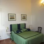 Rent 4 bedroom apartment of 100 m² in Sesto Fiorentino