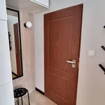 Rent 1 bedroom apartment of 27 m² in Poznan