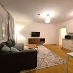 Rent 1 bedroom apartment of 50 m² in Stuttgart