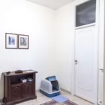 Rent 1 bedroom apartment of 59 m² in rome