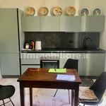 Rent 2 bedroom apartment of 70 m² in Turin