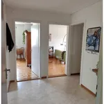 Rent 3 bedroom apartment in Zurich