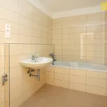 Rent 2 bedroom apartment of 59 m² in České Budějovice