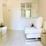 Rent 1 bedroom apartment in Florence