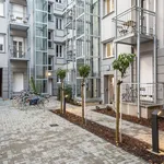 Rent 1 bedroom apartment of 17 m² in Berlin