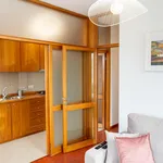 Rent 1 bedroom apartment in Porto