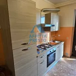 Rent 3 bedroom apartment of 75 m² in Pistoia