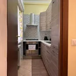 Rent 4 bedroom house of 120 m² in Roma