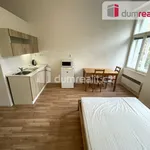 Rent 1 bedroom apartment of 25 m² in Praha