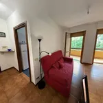 Rent 3 bedroom apartment of 60 m² in Rome