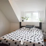 Rent 1 bedroom house in Bruges