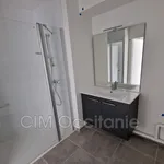 Appartement de 50 m² avec 2 chambre(s) en location à Toulouse