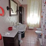 Rent 3 bedroom apartment of 60 m² in Carrara