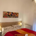 Rent 4 bedroom apartment in Bologna