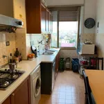 Rent 3 bedroom apartment of 76 m² in Rome