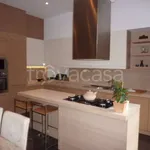 Rent 4 bedroom apartment of 110 m² in Torino