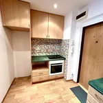 Rent 1 bedroom apartment in Frýdek - Místek