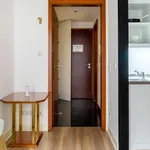 30 m² Studio in berlin