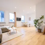 Rent 2 bedroom apartment of 60 m² in Nürnberg