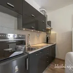 Rent 1 bedroom apartment of 31 m² in Prague