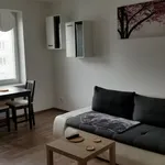 Rent 2 bedroom apartment in Chrudim