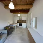 Rent 3 bedroom apartment of 50 m² in Ferrara