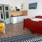 Rent 1 bedroom apartment in Rychnov nad Kněžnou