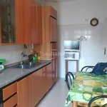 Rent 3 bedroom apartment of 70 m² in Roma