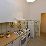 Rent 3 bedroom apartment of 60 m² in Roma