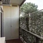 Studio of 45 m² in rome