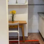 Rent 1 bedroom apartment in madrid