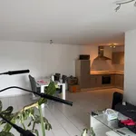 Rent 2 bedroom apartment of 53 m² in Wipperfürth